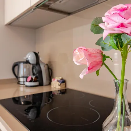 Appartement Ltapartments - Monolocale Con Parking A 10 Minuti Dalla Torre Pisa